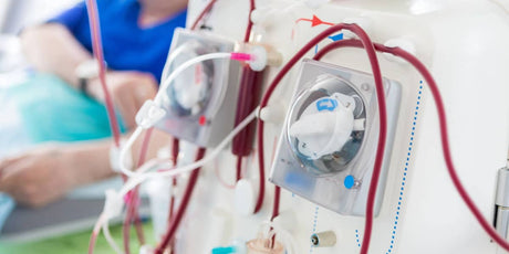 Hemodialysis Systems Key Components and Compatibility Guide
