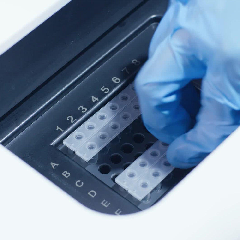 48 Wells Rapid qPCR System Fluorescent Quantitative PCR
