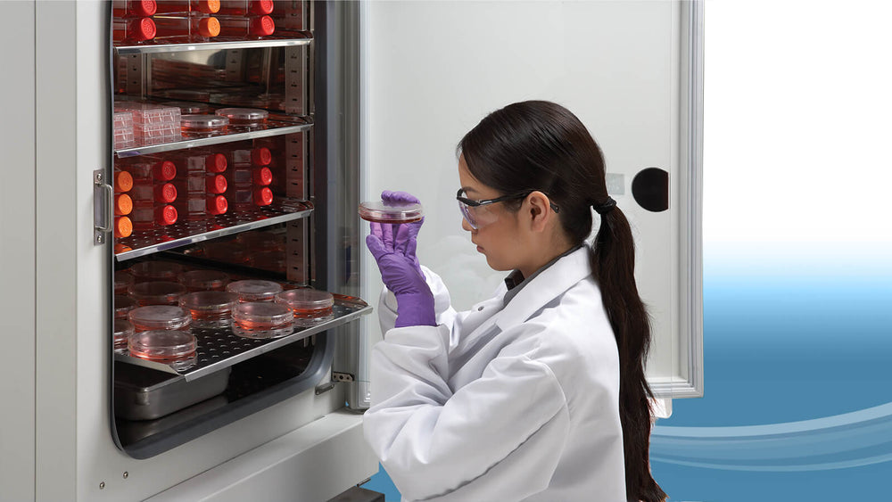 Lab Incubator – Cn-Meditech